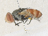  ( - CBG-A36794-E04)  @11 [ ] CreativeCommons - Attribution Share - Alike (2024) CBG Photography Group Centre for Biodiversity Genomics