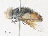  ( - CBG-A36794-E11)  @11 [ ] CreativeCommons - Attribution Share - Alike (2024) CBG Photography Group Centre for Biodiversity Genomics