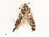  ( - CBG-A51065-H02)  @11 [ ] CreativeCommons - Attribution Share - Alike (2024) CBG Photography Group Centre for Biodiversity Genomics