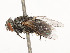  ( - CBG-A51066-E07)  @11 [ ] CreativeCommons - Attribution Share - Alike (2024) CBG Photography Group Centre for Biodiversity Genomics