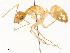  ( - CBG-A51069-C06)  @11 [ ] CreativeCommons - Attribution Share - Alike (2024) CBG Photography Group Centre for Biodiversity Genomics