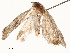  ( - CBG-A51070-B10)  @11 [ ] CreativeCommons - Attribution Share - Alike (2024) CBG Photography Group Centre for Biodiversity Genomics