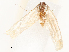  ( - CBG-A51070-C06)  @11 [ ] CreativeCommons - Attribution Share - Alike (2024) CBG Photography Group Centre for Biodiversity Genomics