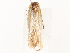  ( - CBG-A51071-H04)  @11 [ ] CreativeCommons - Attribution Share - Alike (2024) CBG Photography Group Centre for Biodiversity Genomics