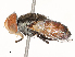  ( - CBG-A51940-G12)  @11 [ ] CreativeCommons - Attribution Share - Alike (2024) CBG Photography Group Centre for Biodiversity Genomics