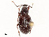  ( - CBG-A51941-F09)  @11 [ ] CreativeCommons - Attribution Share - Alike (2024) CBG Photography Group Centre for Biodiversity Genomics