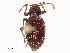  ( - CBG-A51941-F10)  @11 [ ] CreativeCommons - Attribution Share - Alike (2024) CBG Photography Group Centre for Biodiversity Genomics