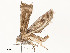  ( - CBG-A51942-G04)  @11 [ ] CreativeCommons - Attribution Share - Alike (2024) CBG Photography Group Centre for Biodiversity Genomics