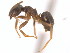  ( - 09GUANTS-333)  @14 [ ] CC-0  Unspecified Unspecified