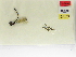  ( - INB0003559593)  @11 [ ] Copyright (2012) B. Haber Instituto Nacional de Biodiversidad