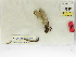  ( - INB0003574884)  @11 [ ] Copyright (2012) B. Haber Instituto Nacional de Biodiversidad