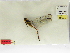  ( - INB0003576160)  @11 [ ] Copyright (2012) B. Haber Instituto Nacional de Biodiversidad