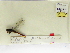  ( - INB0003576231)  @11 [ ] Copyright (2012) B. Haber Instituto Nacional de Biodiversidad