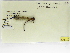  ( - INB0003684106)  @11 [ ] Copyright (2012) B. Haber Instituto Nacional de Biodiversidad