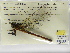  ( - INB0004315383)  @11 [ ] Copyright (2012) B. Haber Instituto Nacional de Biodiversidad