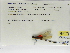  ( - INB0004315437)  @11 [ ] Copyright (2012) B. Haber Instituto Nacional de Biodiversidad