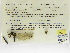  ( - INB0004315541)  @11 [ ] Copyright (2012) B. Haber Instituto Nacional de Biodiversidad