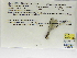  ( - INB0004315544)  @12 [ ] Copyright (2012) B. Haber Instituto Nacional de Biodiversidad