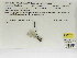  ( - INB0004315552)  @11 [ ] Copyright (2012) B. Haber Instituto Nacional de Biodiversidad
