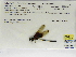  ( - INB0004315589)  @11 [ ] Copyright (2012) B. Haber Instituto Nacional de Biodiversidad
