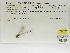  ( - INB0004315591)  @11 [ ] Copyright (2012) B. Haber Instituto Nacional de Biodiversidad