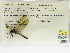  ( - INB0004315595)  @11 [ ] Copyright (2012) B. Haber Instituto Nacional de Biodiversidad