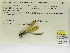  ( - INB0004315601)  @11 [ ] Copyright (2012) B. Haber Instituto Nacional de Biodiversidad