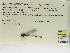  ( - INB0004315618)  @11 [ ] Copyright (2012) B. Haber Instituto Nacional de Biodiversidad