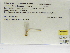  (Telebasis isthmica - INB0004315624)  @12 [ ] Copyright (2012) B. Haber Instituto Nacional de Biodiversidad