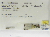  ( - INB0004315827)  @11 [ ] Copyright (2012) B. Haber Instituto Nacional de Biodiversidad