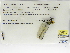 ( - INB0004315896)  @11 [ ] Copyright (2012) B. Haber Instituto Nacional de Biodiversidad