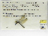  ( - INB0004315954)  @11 [ ] Copyright (2012) B. Haber Instituto Nacional de Biodiversidad