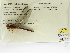  ( - INB0004315957)  @12 [ ] Copyright (2012) B. Haber Instituto Nacional de Biodiversidad