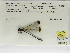  ( - INB0004315962)  @11 [ ] Copyright (2012) B. Haber Instituto Nacional de Biodiversidad