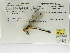  ( - INB0004315968)  @11 [ ] Copyright (2012) B. Haber Instituto Nacional de Biodiversidad