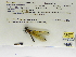  ( - INB0004315998)  @11 [ ] Copyright (2012) B. Haber Instituto Nacional de Biodiversidad
