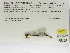  ( - INB0004316010)  @12 [ ] Copyright (2012) B. Haber Instituto Nacional de Biodiversidad