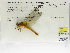  ( - INB0004316213)  @12 [ ] Copyright (2012) B. Haber Instituto Nacional de Biodiversidad