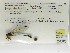  ( - INB0004316221)  @11 [ ] Copyright (2012) B. Haber Instituto Nacional de Biodiversidad