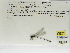  ( - INB0004316244)  @12 [ ] Copyright (2012) B. Haber Instituto Nacional de Biodiversidad