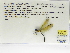  ( - INB0004316250)  @12 [ ] Copyright (2012) B. Haber Instituto Nacional de Biodiversidad