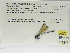  ( - INB0004316268)  @12 [ ] Copyright (2012) B. Haber Instituto Nacional de Biodiversidad