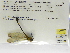  ( - INB0004316275)  @11 [ ] Copyright (2012) B. Haber Instituto Nacional de Biodiversidad