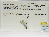  ( - INB0004316283)  @11 [ ] Copyright (2012) B. Haber Instituto Nacional de Biodiversidad