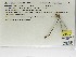  ( - INB0004316305)  @12 [ ] Copyright (2012) B. Haber Instituto Nacional de Biodiversidad