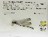  ( - INB0004316314)  @11 [ ] Copyright (2012) B. Haber Instituto Nacional de Biodiversidad
