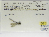  ( - INB0004316317)  @11 [ ] Copyright (2012) B. Haber Instituto Nacional de Biodiversidad
