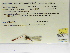  (Heteragrion albifrons - INB0004316324)  @11 [ ] Copyright (2012) B. Haber Instituto Nacional de Biodiversidad