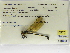  ( - INB0004316326)  @11 [ ] Copyright (2012) B. Haber Instituto Nacional de Biodiversidad