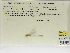  ( - INB0004316356)  @11 [ ] Copyright (2012) B. Haber Instituto Nacional de Biodiversidad